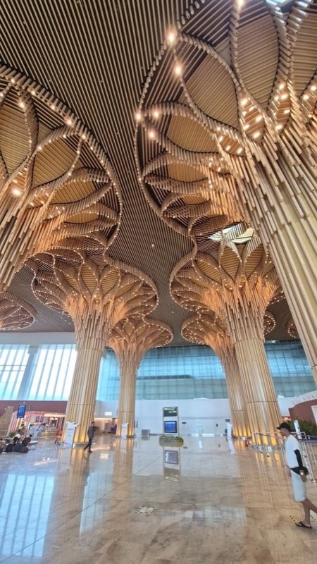Assam Airport — view 7